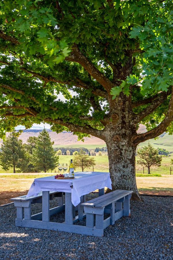 أندربرغ Oak Ridge Guest House المظهر الخارجي الصورة